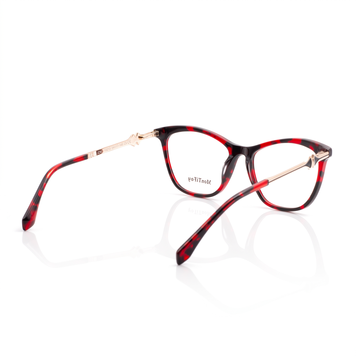 CH A10213 Red Tortoise